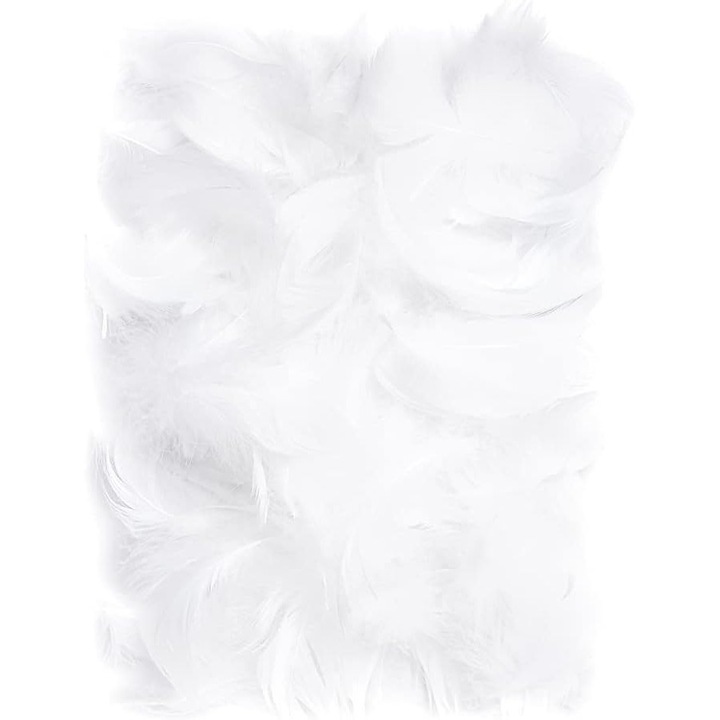 Pene decorative, Netuno, 10g, Alb