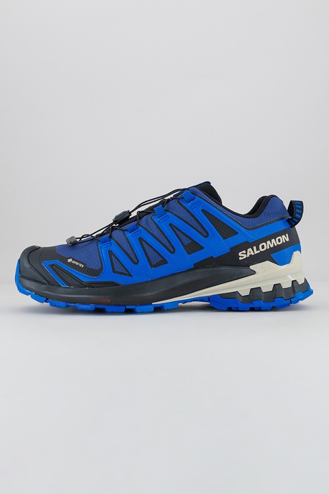 Salomon, Pantofi pentru alergare XA Pro 3D V9 GTX, Albastru/Negru
