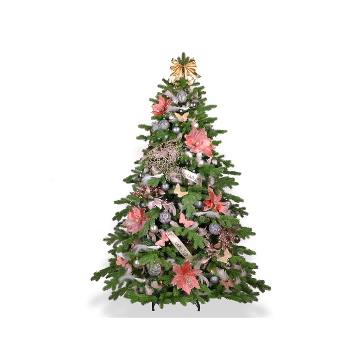 Brad de Craciun, 270cm, Multicolor