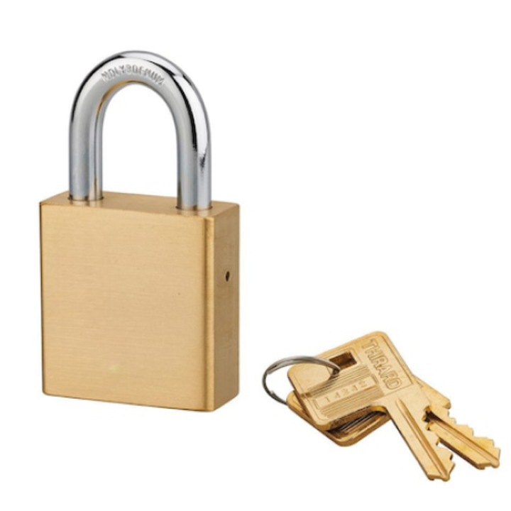 Lacat de exterior, 50 mm, alama, cu cheie