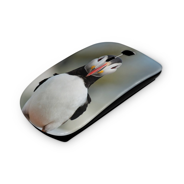 Madár mintás vezetéknélküli egér 112