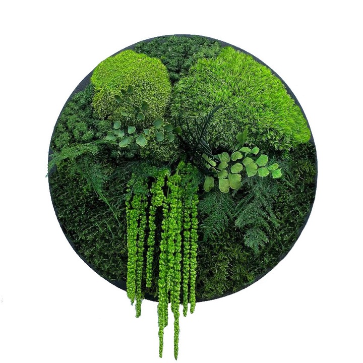 Tablou natural cu muschi, licheni si amaranthus, AdryiArt, rama negru, 50 cm