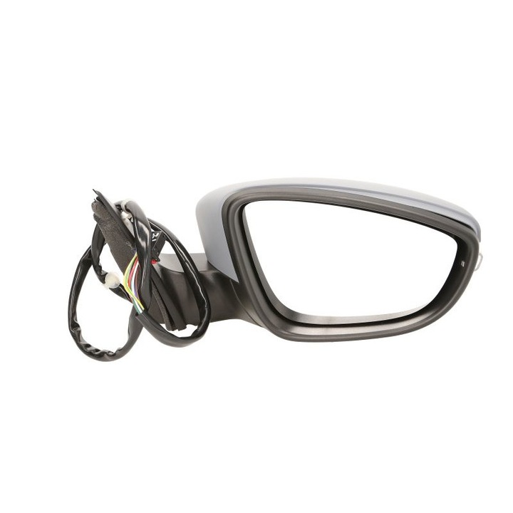 Oglinda laterala dreapta Vw Passat Alltrack B7, Passat B8 Blic196