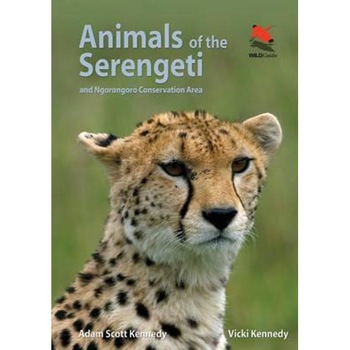 Animals of the Serengeti Animals of the Serengeti