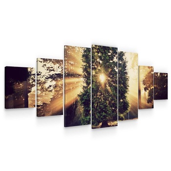 Set Tablou DualView Startonight Razele soarelui, 7 piese, luminos in intuneric, 100 x 240 cm Set Tablou DualView Startonight Razele soarelui, 7 piese, luminos in intuneric, 100 x 240 cm