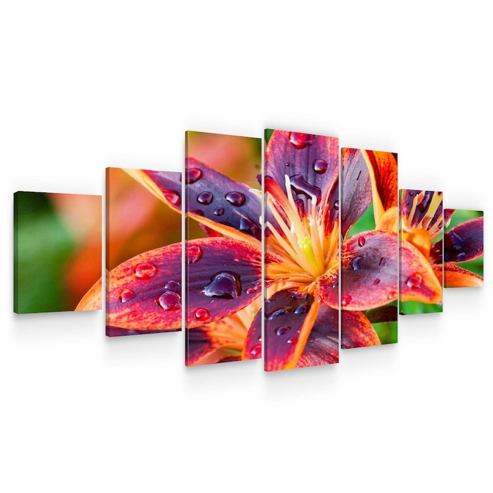 Set Tablou DualView Startonight Crin multicolor, 7 piese, luminos in intuneric, 100 x 240 cm