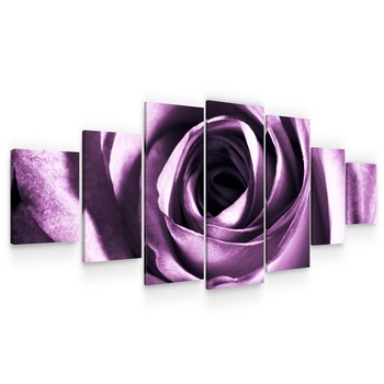 Set Tablou DualView Startonight Trandafir violet, 7 piese, luminos in intuneric, 100 x 240 cm Set Tablou DualView Startonight Trandafir violet, 7 piese, luminos in intuneric, 100 x 240 cm