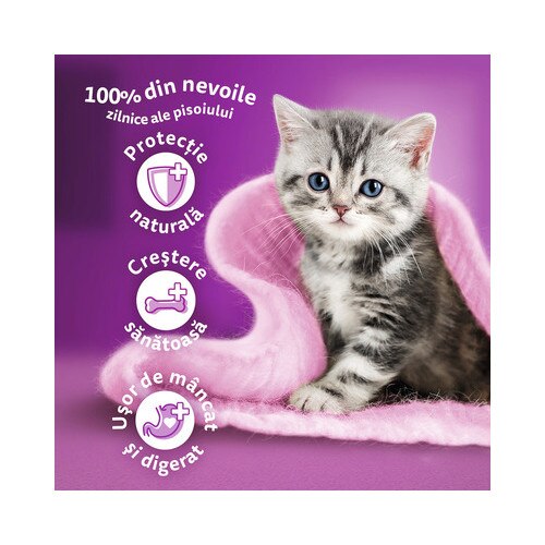 Hrana umeda pentru pisici Whiskas Junior cu pui in aspic 12 x 85 g eMAG.ro