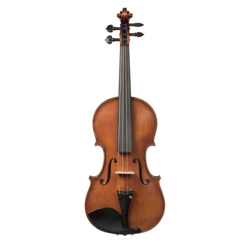 Vioara 4/4 Stradivarius Maestru Hora Reghin V401 - eMAG.ro
