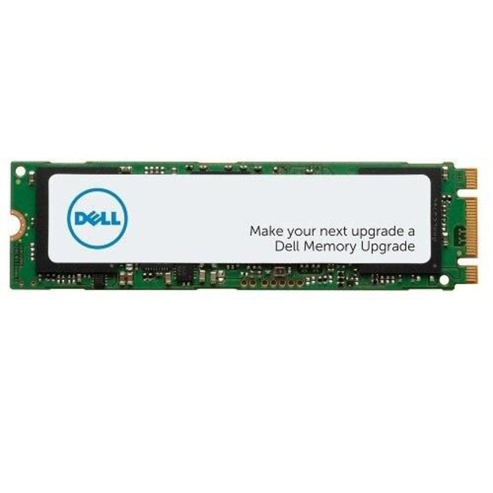 SSD диск, Dell, 1 TB, клас 40, зелен