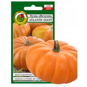 Bulbi, seminte si rasaduri