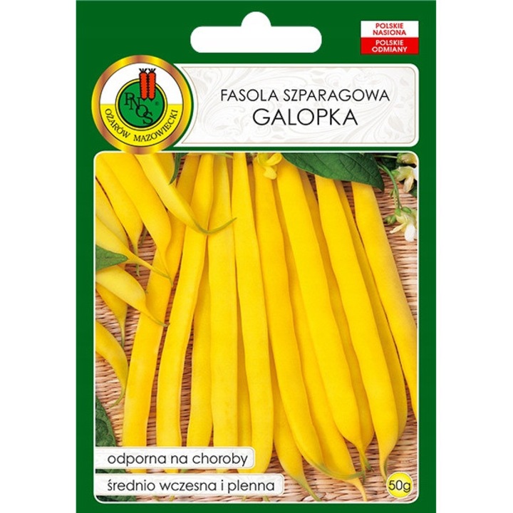 Seminte De Fasole Verde Pitica, Pnos, Numar De Seminte 4 6 Buc, Norma De Semanat 80 120 kg/Ha, Perioada De Vegetatie 65 75 Zile, Ambalaj 30 g, Culoare Crema Deschisa