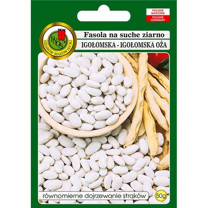 Seminte de fasole uscata, Pnos, 40 x 7 cm, 50 g, Alb