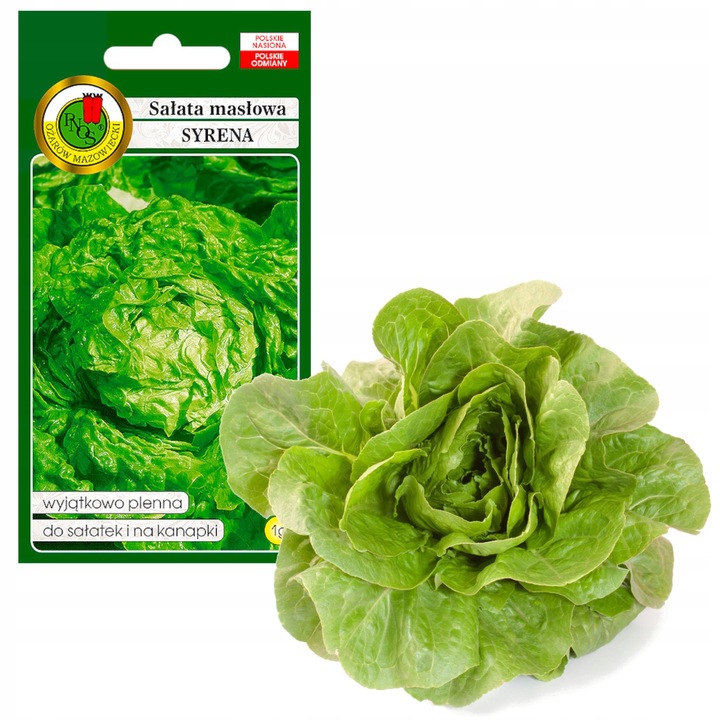 Seminte De Oregano, Pnos, Nisipuri Fara Omg, Plenitate Ridicata, Rezistent La Fainare, Perioada De Semanat: 1-2 Decada Ii - Vii (Rasad), Iv-V (Teren), 1 G, 800-1300 Seminte In Gram