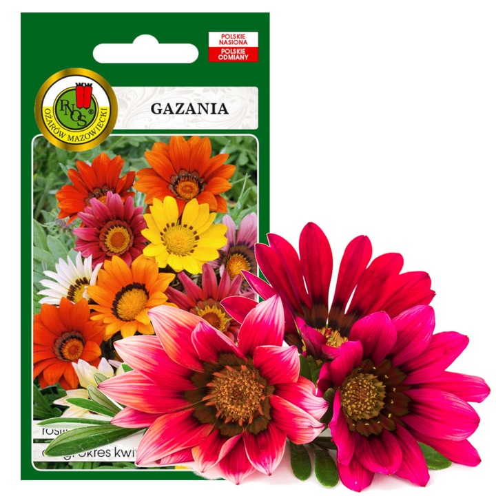 Seminte de flori, Pnos, Gazania, 0.8 G