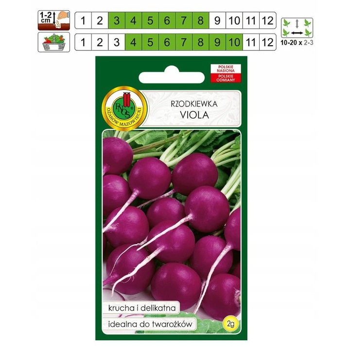 Seminte Pentru Ridiche, Pnos, Violet Inchis, Coaja Lucioasa, Rezistenta La Imbatranire Si Crapare, Pulpa Alba, Crocanta, Cu Gust Destul De Bland, Bogata In Vitaminele A Si C, Calciu, Fosfor Si Fier, 2 g, Multicolor