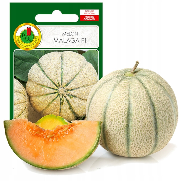 Seminte De Arpagic, Pnos, Malaga F1, Varietate Timpurie, Planta De Camp Tip Cantaloup, Fructe Aproape Sferice, Nervurate, Galben-Portocalii, Pulpa Intens Portocalie, Dulce, Aromatica, 1 G, 20-30 Buc La Gram
