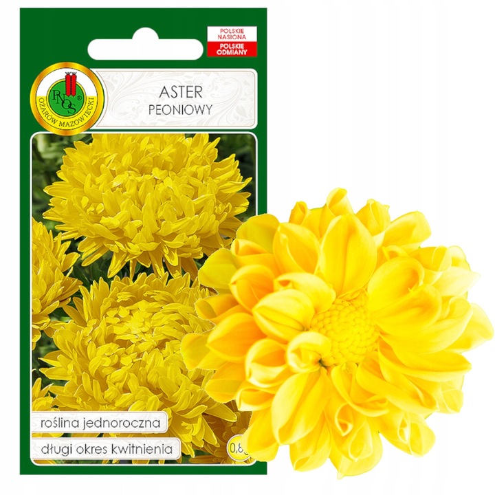 Seminte De Floare, Inaltime 50-70 cm, Inflorire VII-XI, Pozitie Soare Si Semiumbra, Culoare Floare Galben