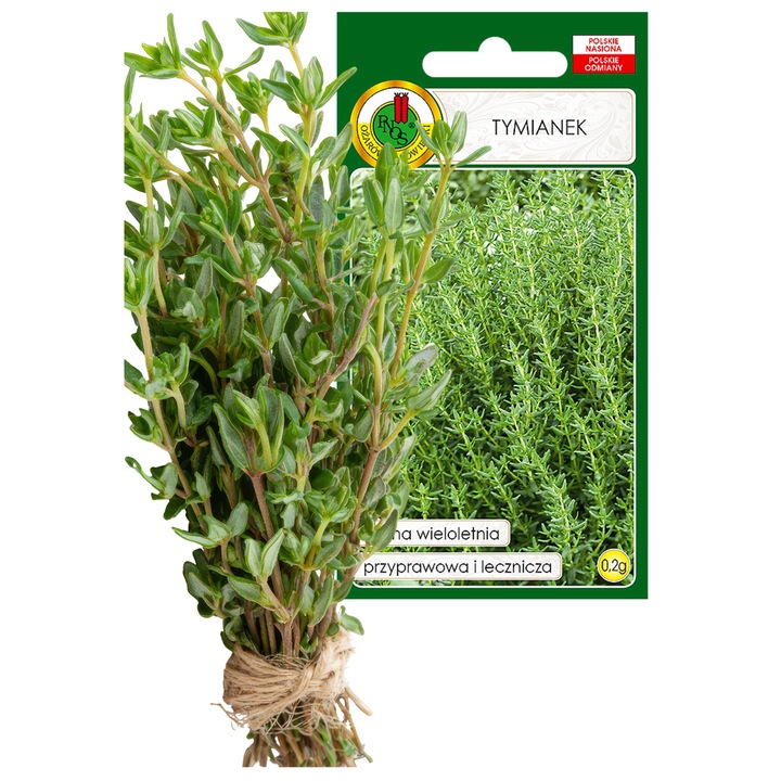 Seminte cimbru, Bobimarket, fara GMO, plante perene, aroma intensa, crestere usoara, gradina proprie, condiment natural, sanatos