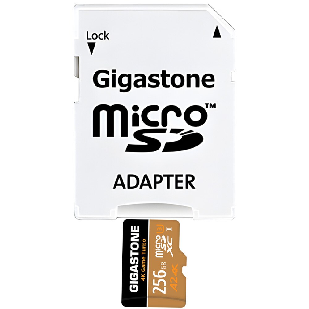 Recupero dati gratuito per 5 anni]GIGASTONE scheda di memoria 64 GB 4K Game Turbo, Specialmente