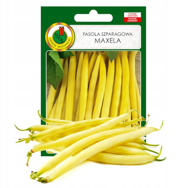 Seminte De Fasole Verde Fideluta, Maxela, Varietate Semitimpurie, Perioada De Vegetatie Aproximativ 70 De Zile, Plantele Ating O Inaltime De 50-55 cm, Pastai De Culoare Galbena, Drepte, Fara Constrictii, 50 G, 2-6 Buc La Gram