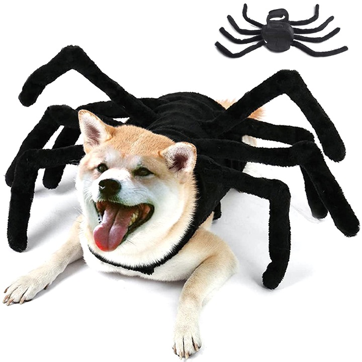 Halloween kutya jelmez, pókruha, puha anyagú, kis közepes méretű
