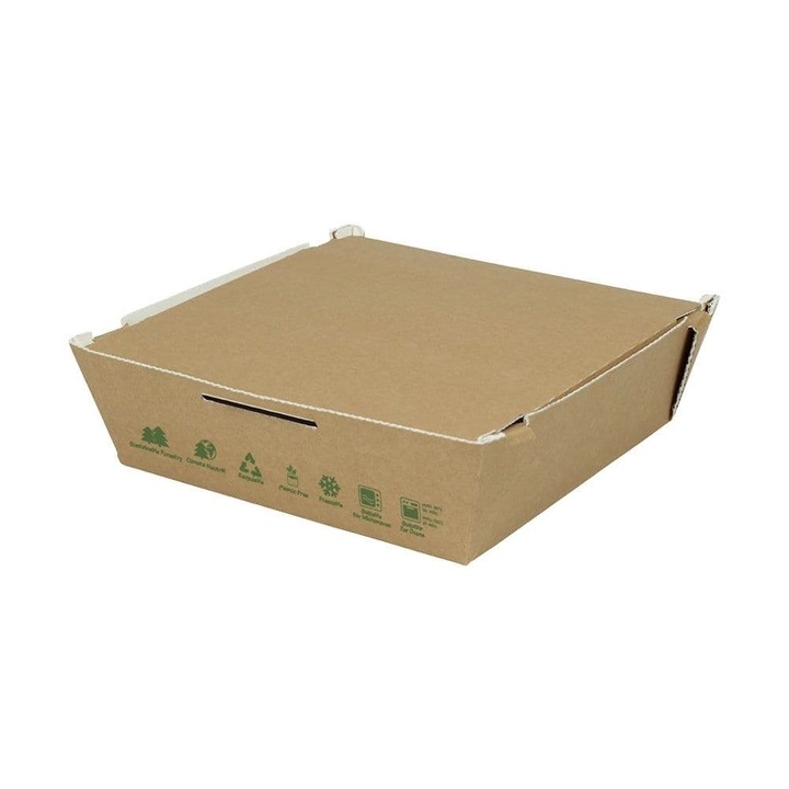 Set 25 cutii aliementare, GreenBox, Carton, 1700 ml, 22x21x7 cm, Maro