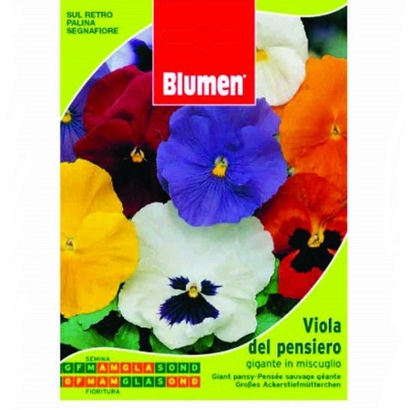 Seminte De Petunii Blumen Cu Flori Mari 7g Emag Ro