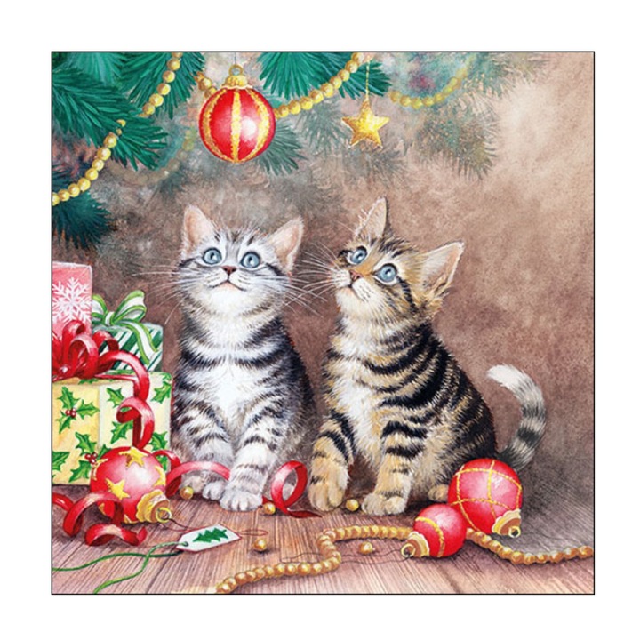 Set servetele de masa, 20 buc, 33x33 cm, Magic of Christmas, Ambiente