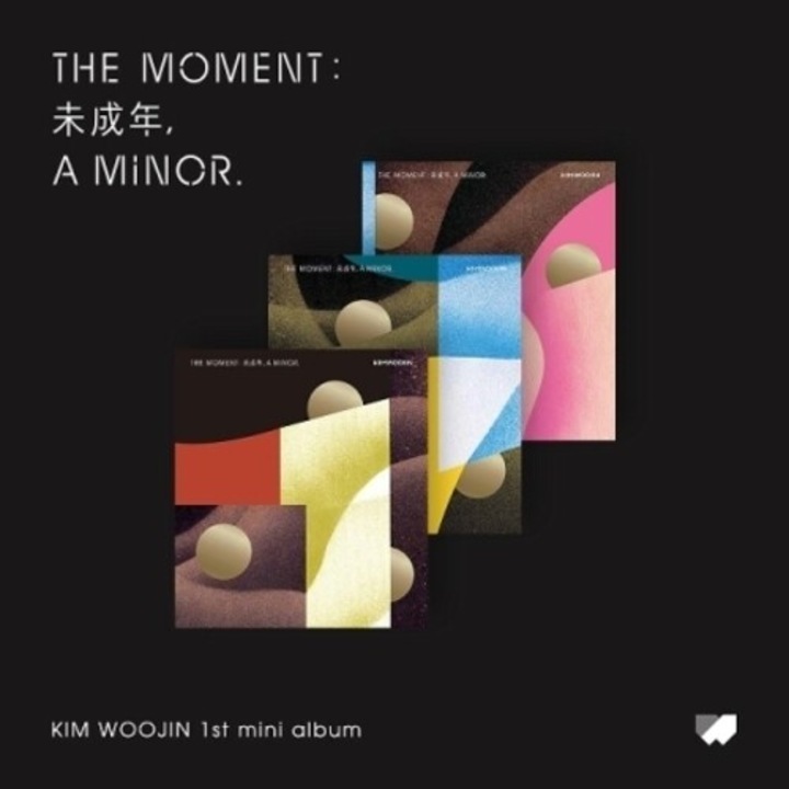 Woo Jin Kim - Moment:.. -photoboo- (CD)