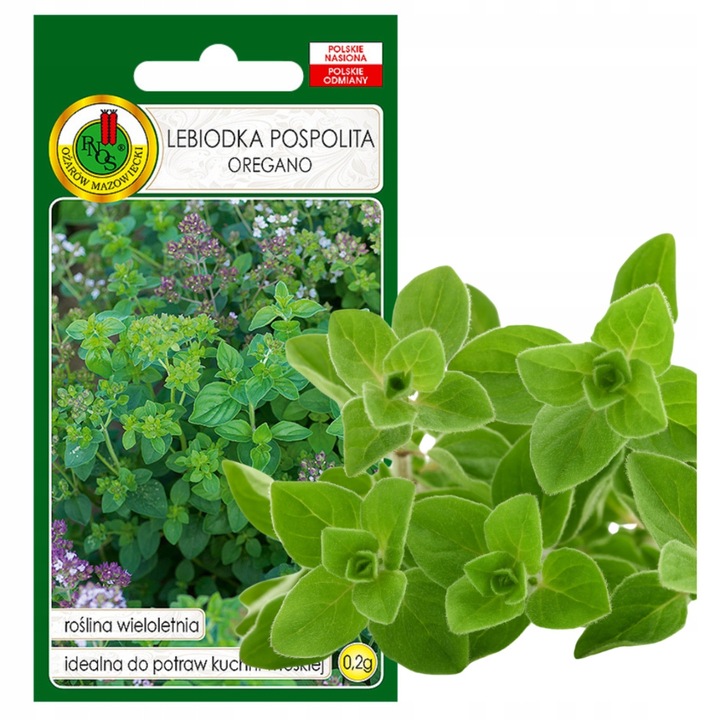 Seminte De Oregano, Plante Aromatice, Bobimarket, Specie: Oregano, Numar De Seminte: 10 000 Buc Pe Gram, Planta Perena, Frunze Aromatice, 0,2 G, 10 000 Bucati