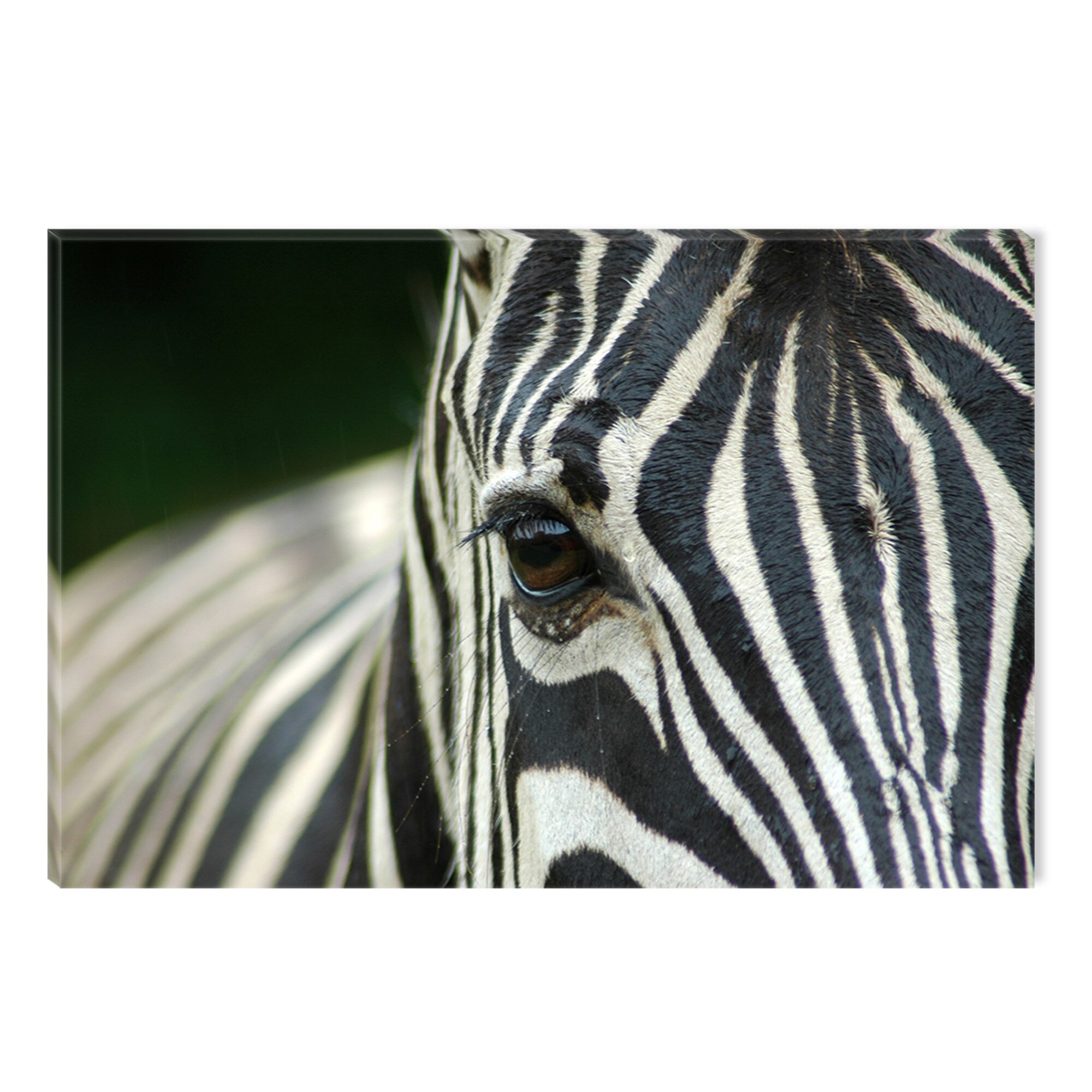 Tablou DualView Startonight Zebra, luminos in intuneric, 60 x 90 cm