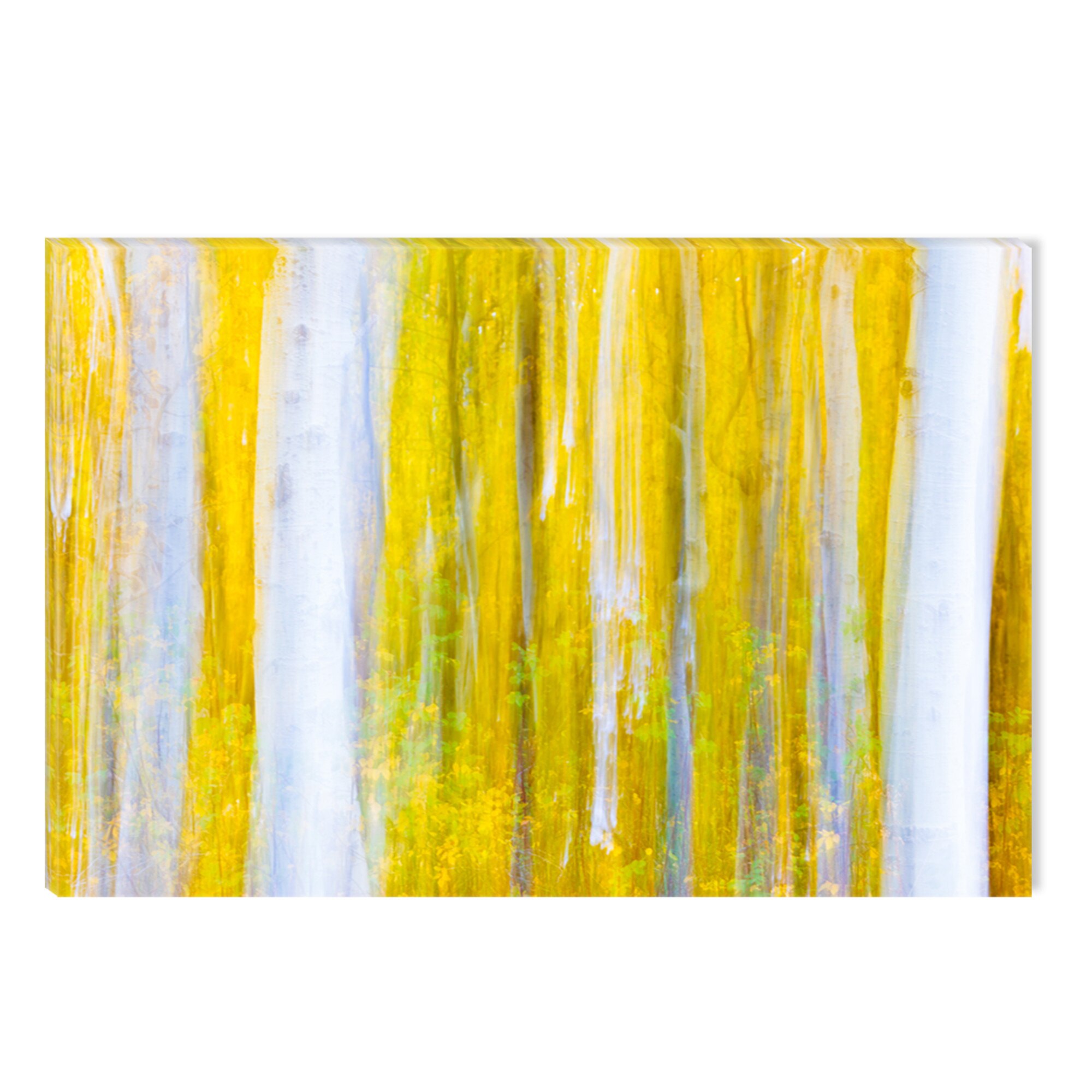 Tablou DualView Startonight Padure in alb si galben, luminos in intuneric, 80 x 120 cm