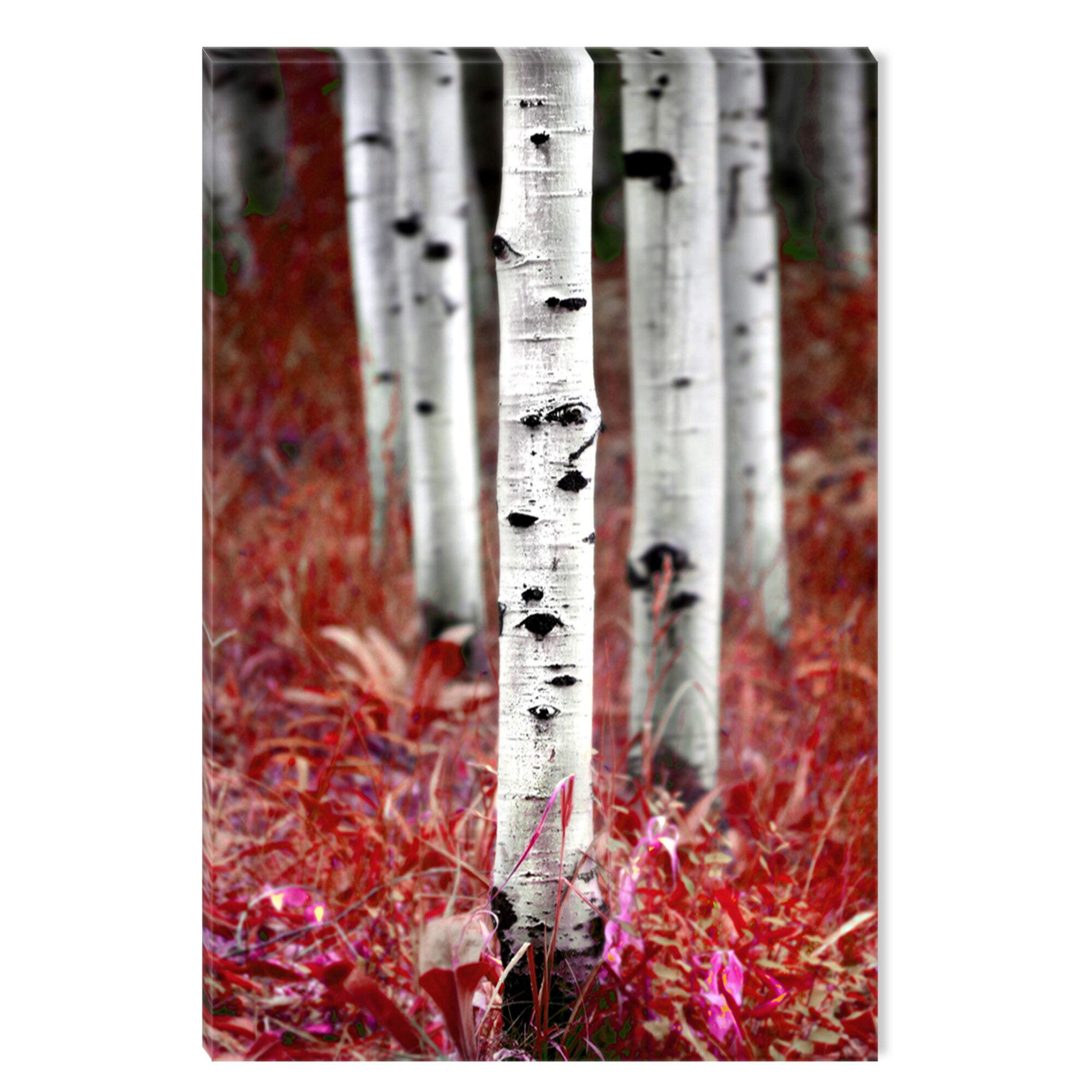 Tablou DualView Startonight Din padurea de mesteceni, luminos in intuneric, 80 x 120 cm