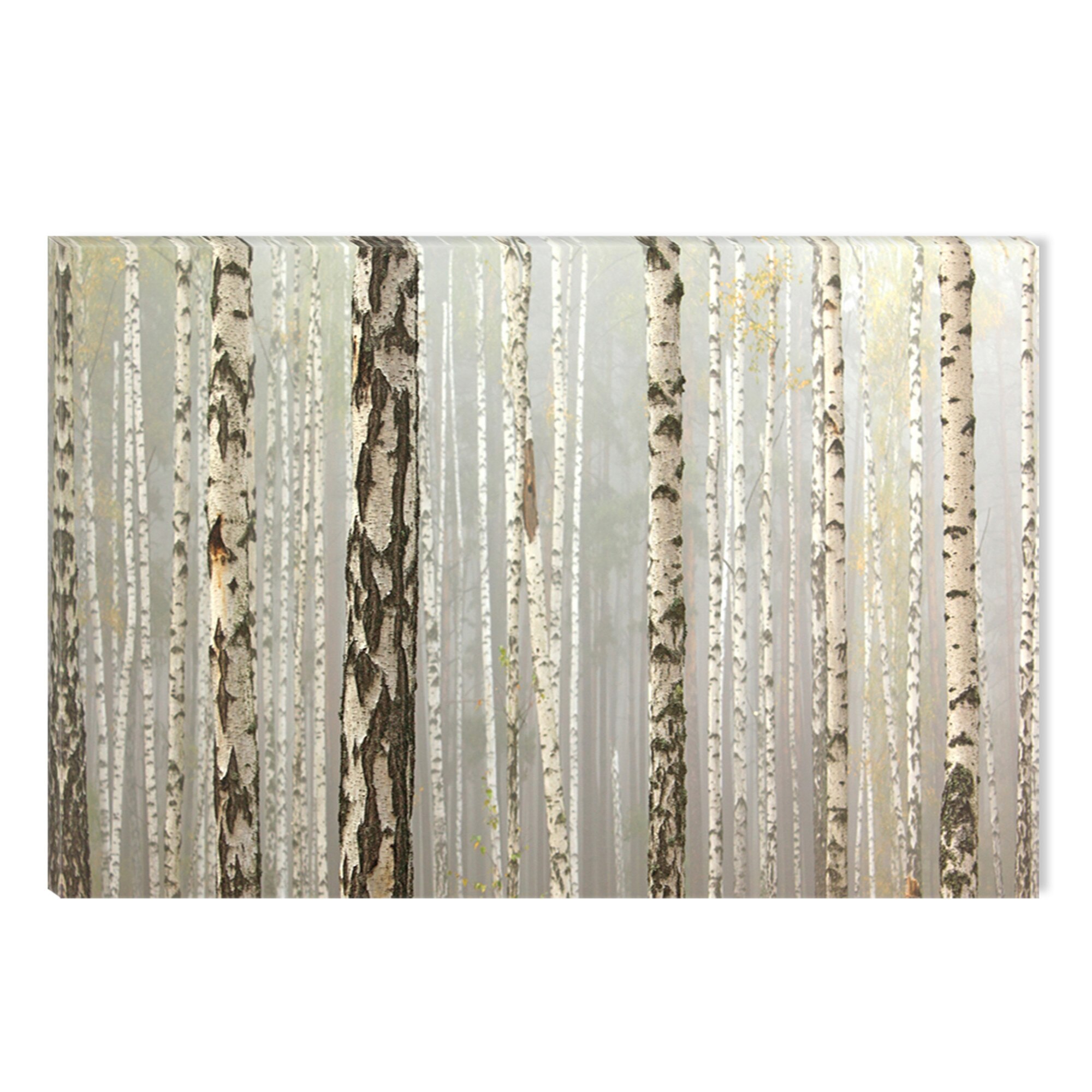 Tablou DualView Startonight Padurea adormita, luminos in intuneric, 80 x 120 cm