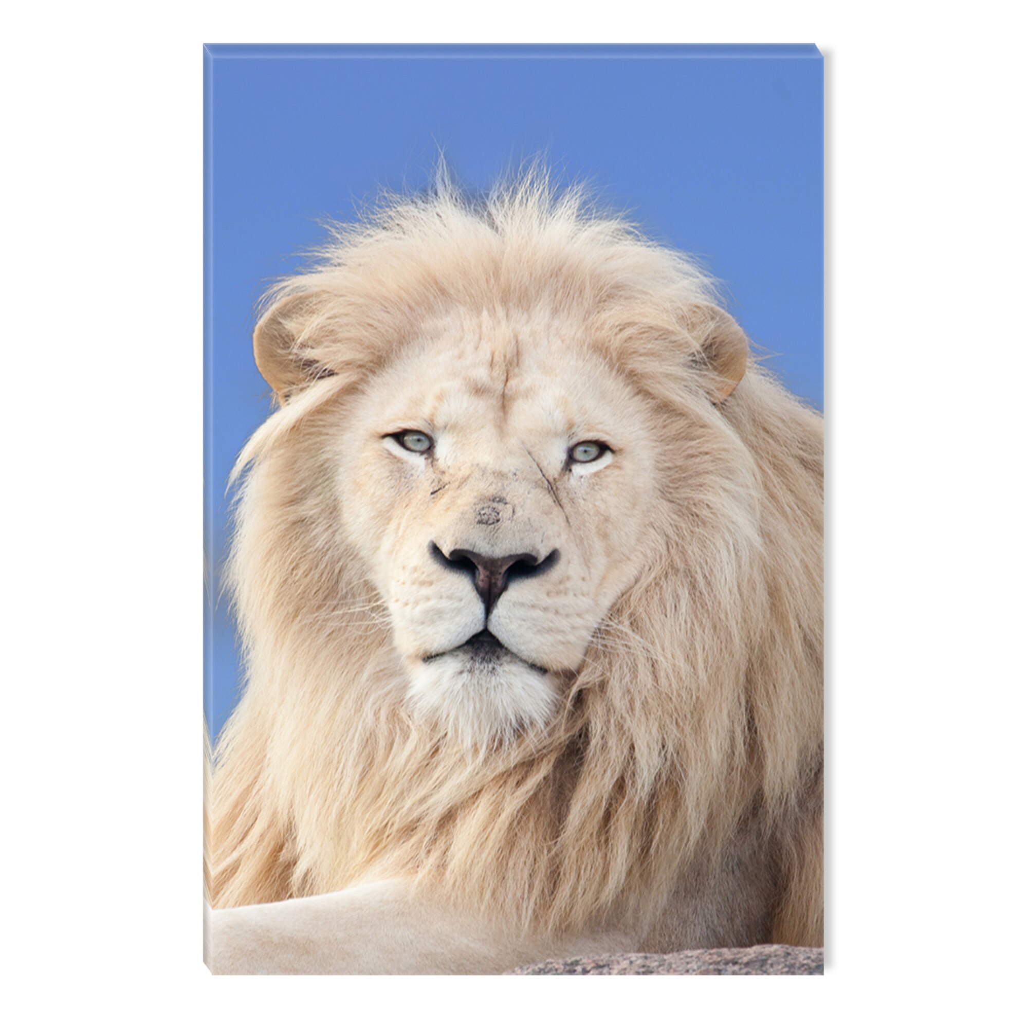 Tablou DualView Startonight Marele Blond, luminos in intuneric, 60 x 90 cm