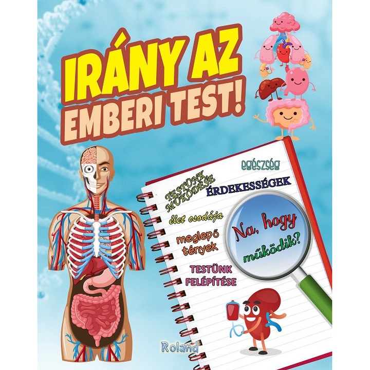 Irany Az Emberi Test