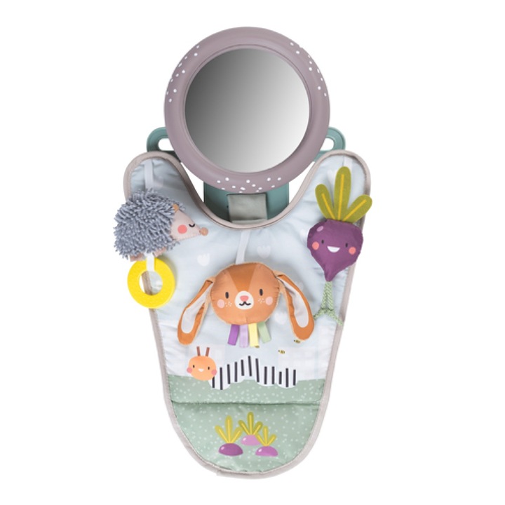 Jucarie Auto Pentru Bebelusi, Taf Toys, Cu Oglinda Retrovizoare, Urban Garden, 0L+