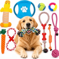 Jucarii interactive de mestecat pentru caini, Fish & Paws ® materiale de calitate pentru sanatatea dentara animalelor de companie, sigure pentru toate rasele, Set de 10