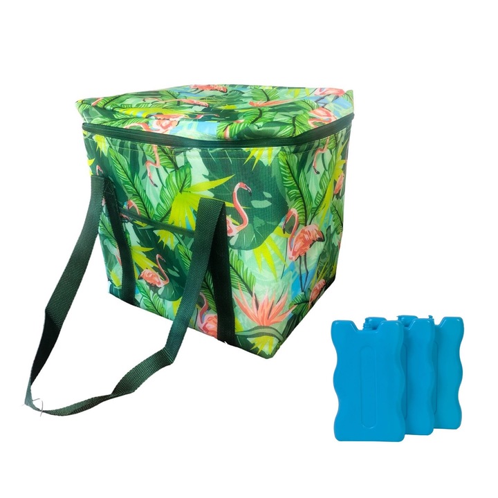 Set geanta termoizolanta 32x25x35 cm si pachet de gheata 3 buc