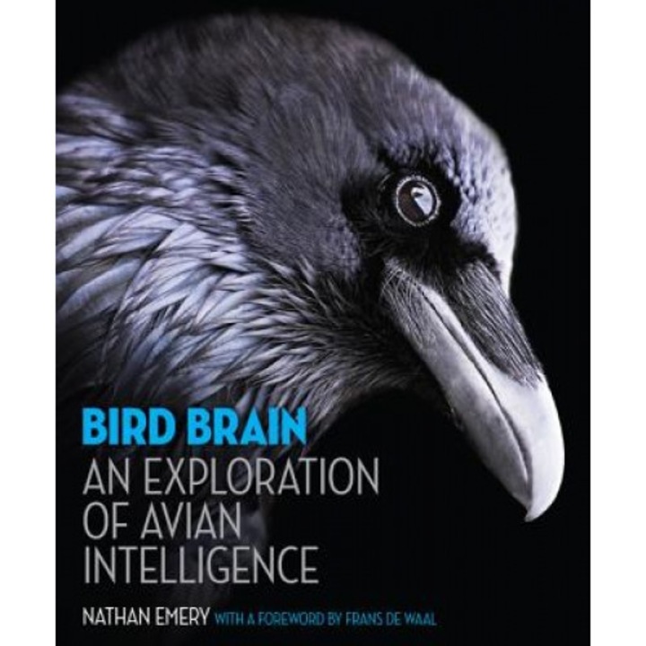 Bird Brain: An Exploration of Avian Intelligence, Nathan Emery (Author)