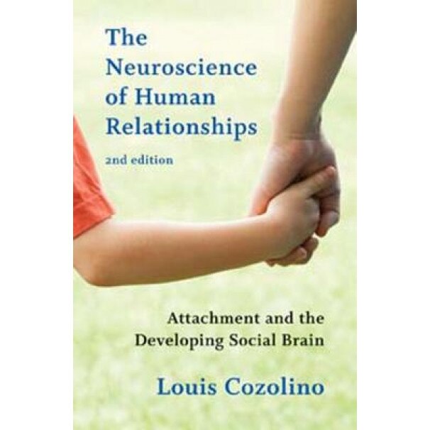 The Neuroscience of Human Relationships: Attachment and the Developing Social Brain - Louis J. Cozolino (Author)