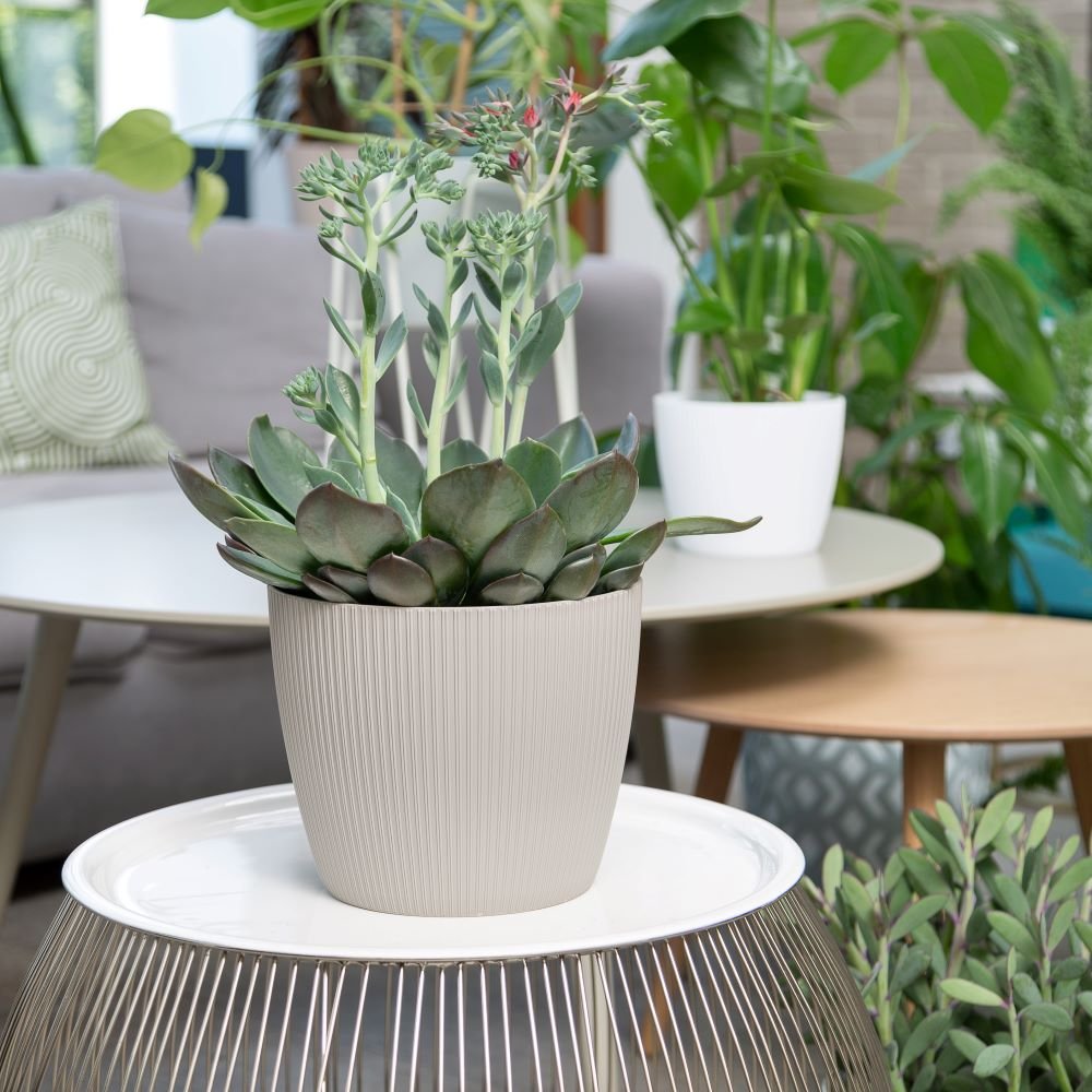 Lamela Magnolia Jumper ECO Vaso Per Piante - Diametro 22 Cm, Colore Grigio Eco, 30% Legno, Design Originale Per Interni E Giardino - 2