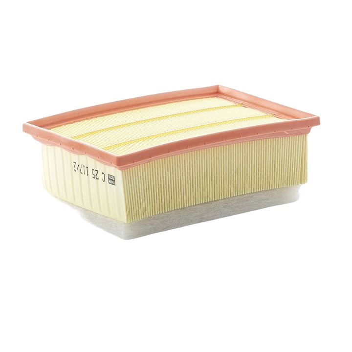 Légszűrő C25117/2