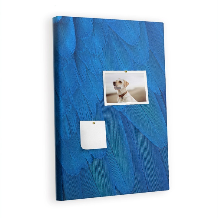 Tabla de pluta. Tulup. Papagali. Albastru. 40 cm x 60 cm. Lemn. 00088974