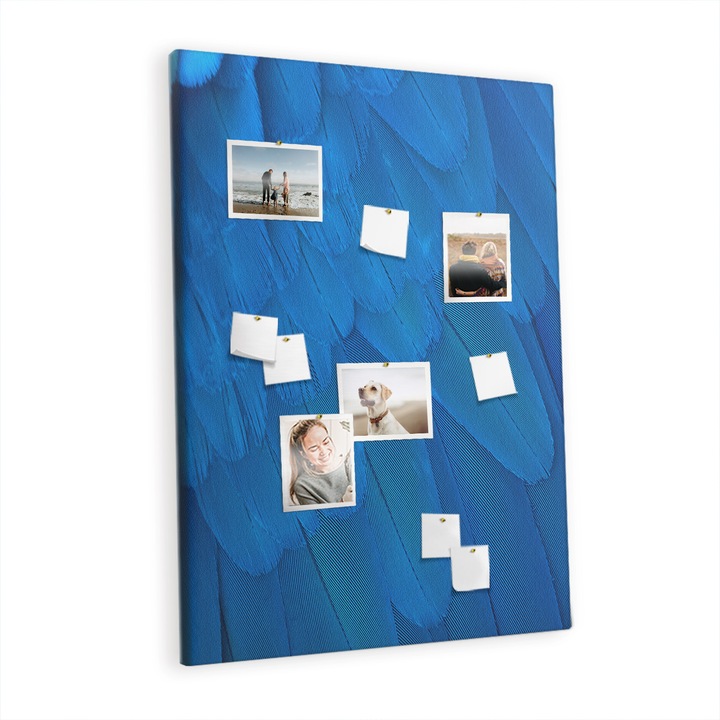 Tabla de pluta. Tulup. Papagali. Albastru. 100 cm x 140 cm. Culoare. 00088974