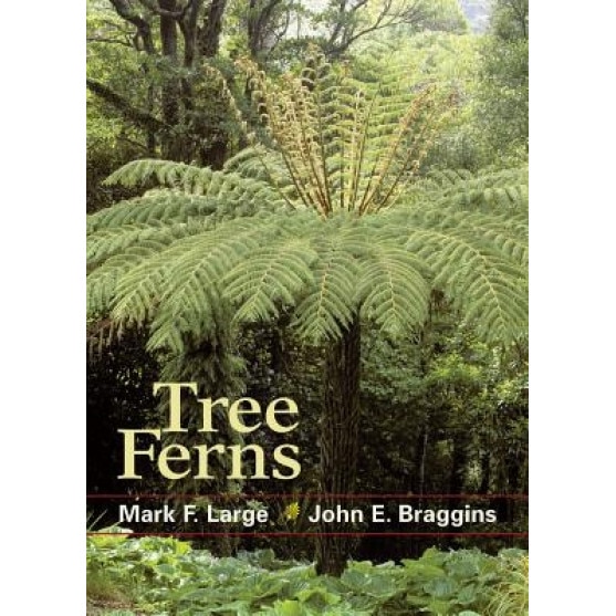 Tree Ferns, Mark F. Large (Author)