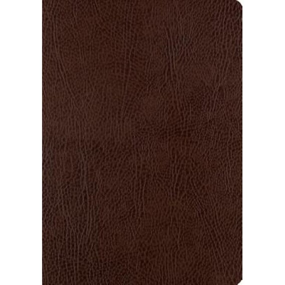 ESV Single Column Journaling Bible, Large Print (Mocha),