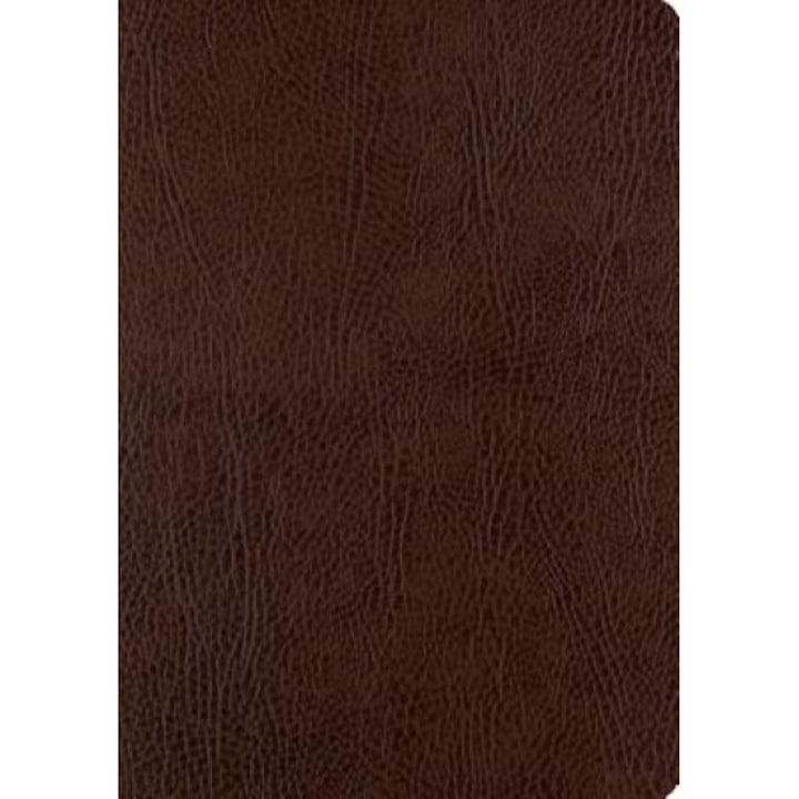 ESV Single Column Journaling Bible, Large Print (Mocha),