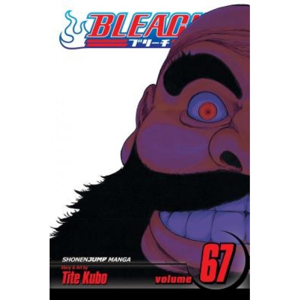Bleach, Vol. 67, Tite Kubo (Author)